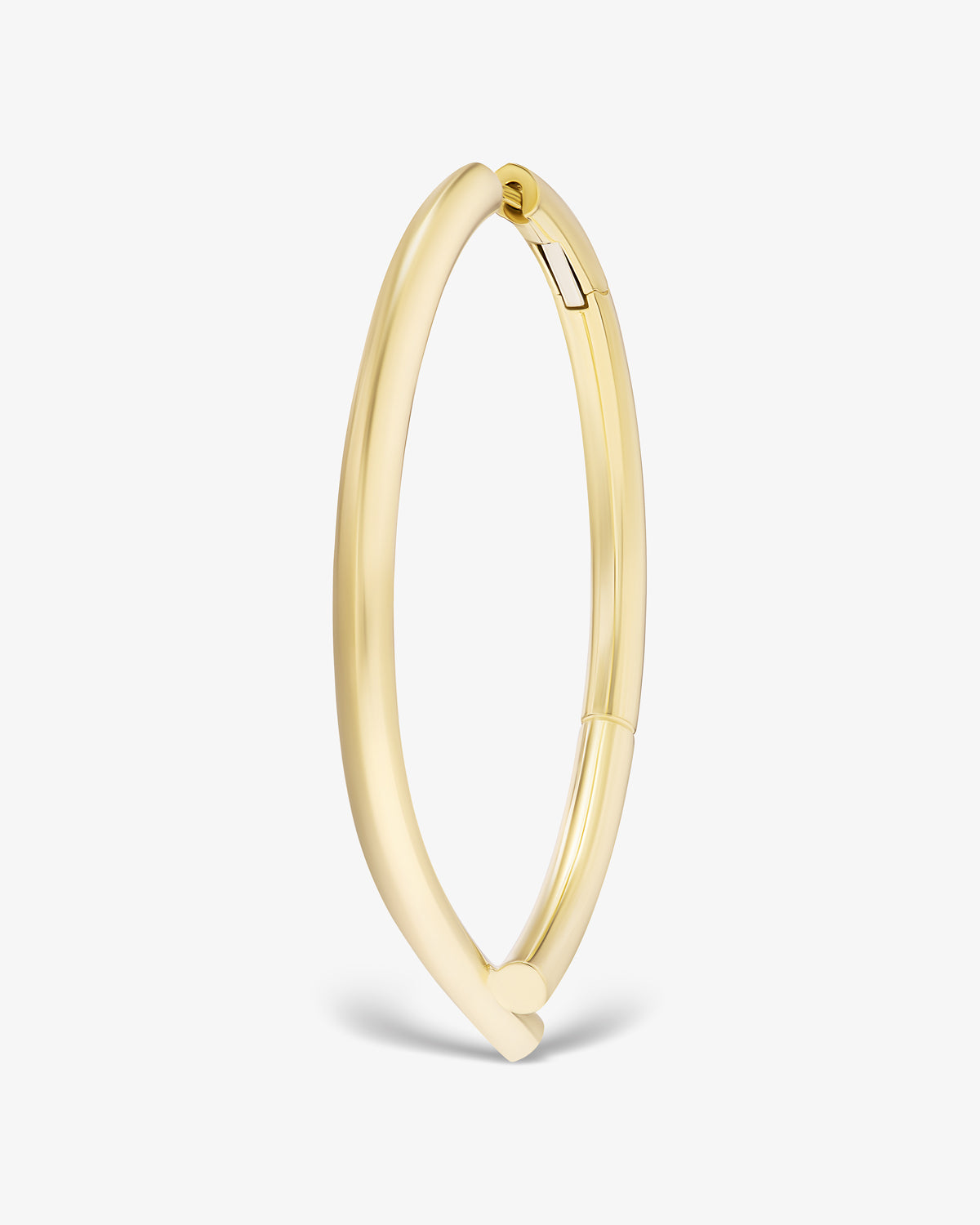 Hoop Earring