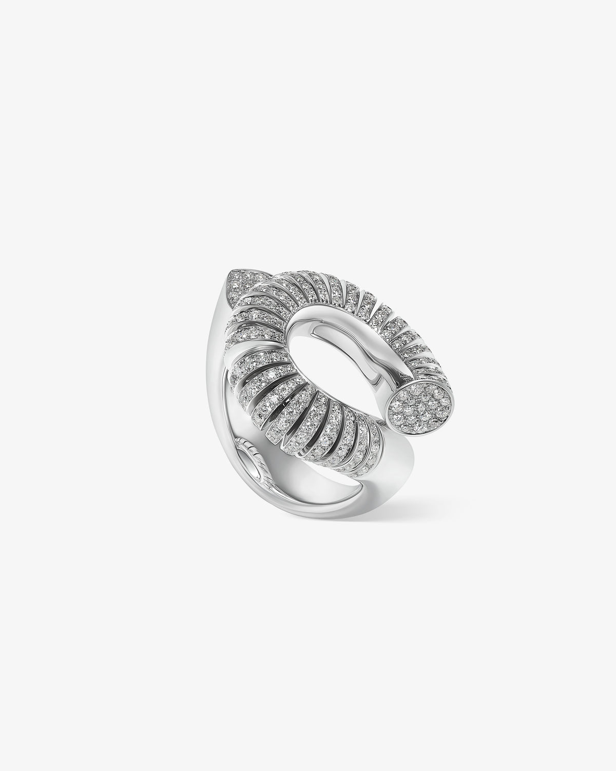 Knot Ring