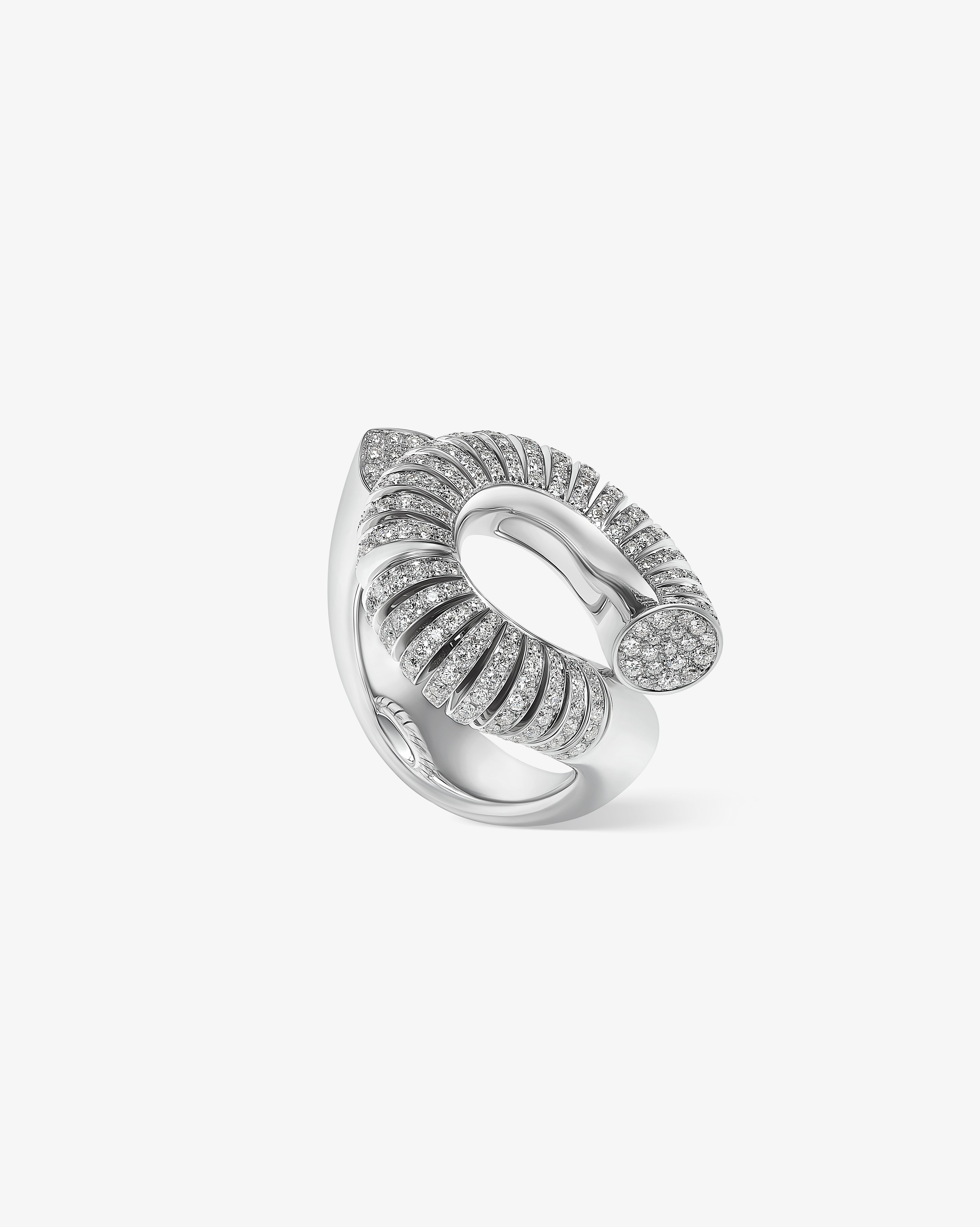 Knot Ring